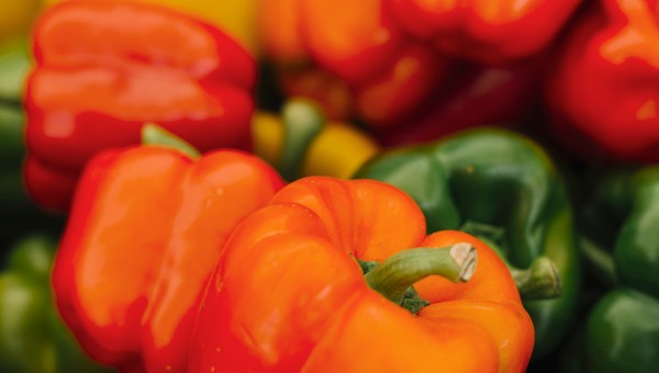 Удивительные характеристики: эти 3 сорта сладкого перца — фавориты среди опытных дачников