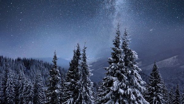 После этой морозной ночи в Подмосковье придёт оттепель 