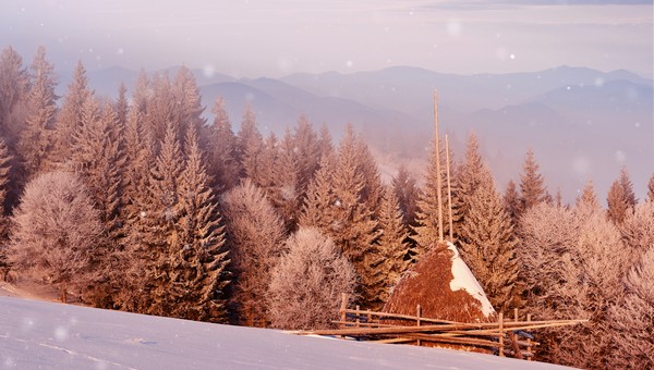 Мороз или тепло? Синоптик пообещала аномальный январь-2025 в Подмосковье