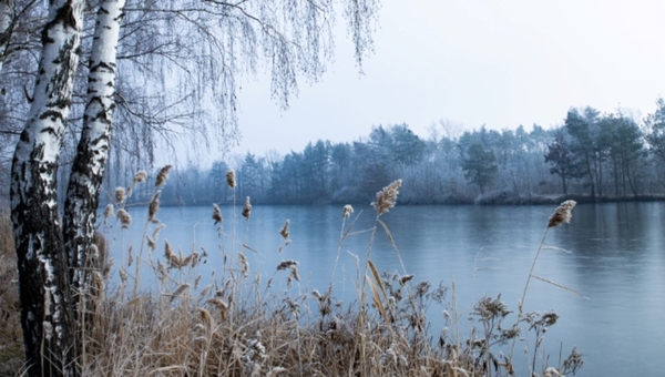 На Москве-реке началось ежегодное интригующее явление     