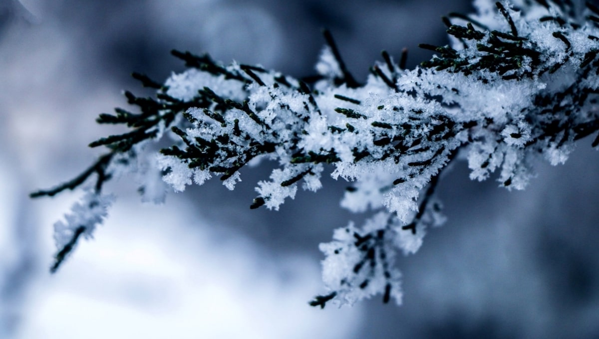 Синоптик Тишковец назвал срок, когда ледяные дожди и холод придут в Подмосковье