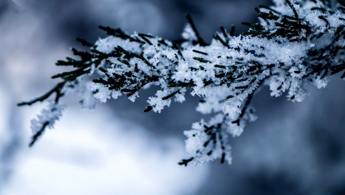 Морозы как в декабре. В этих городах Подмосковья зафиксирован самый сильный холод