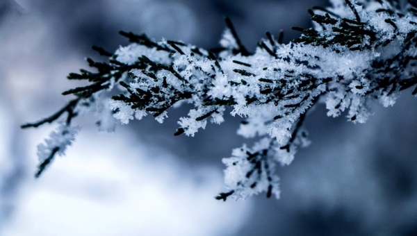 Морозы как в декабре. В этих городах Подмосковья зафиксирован самый сильный холод