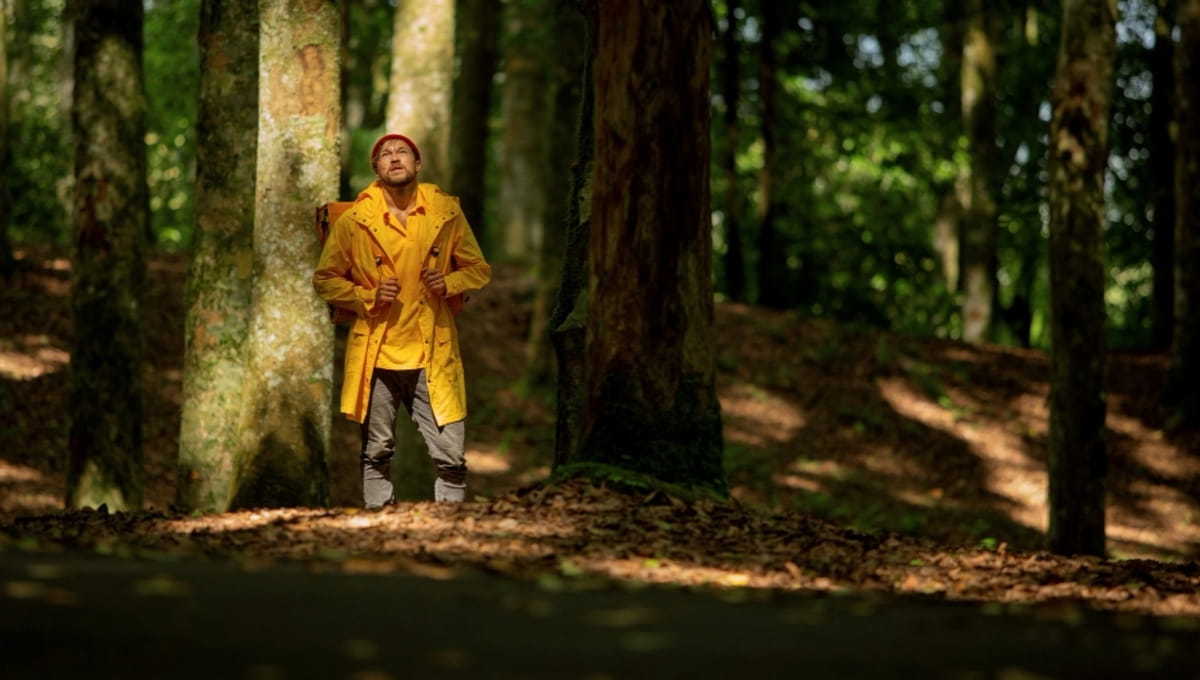 Грибников шокировал вид и запах в подмосковном лесу. Природа в этом году «перестаралась»