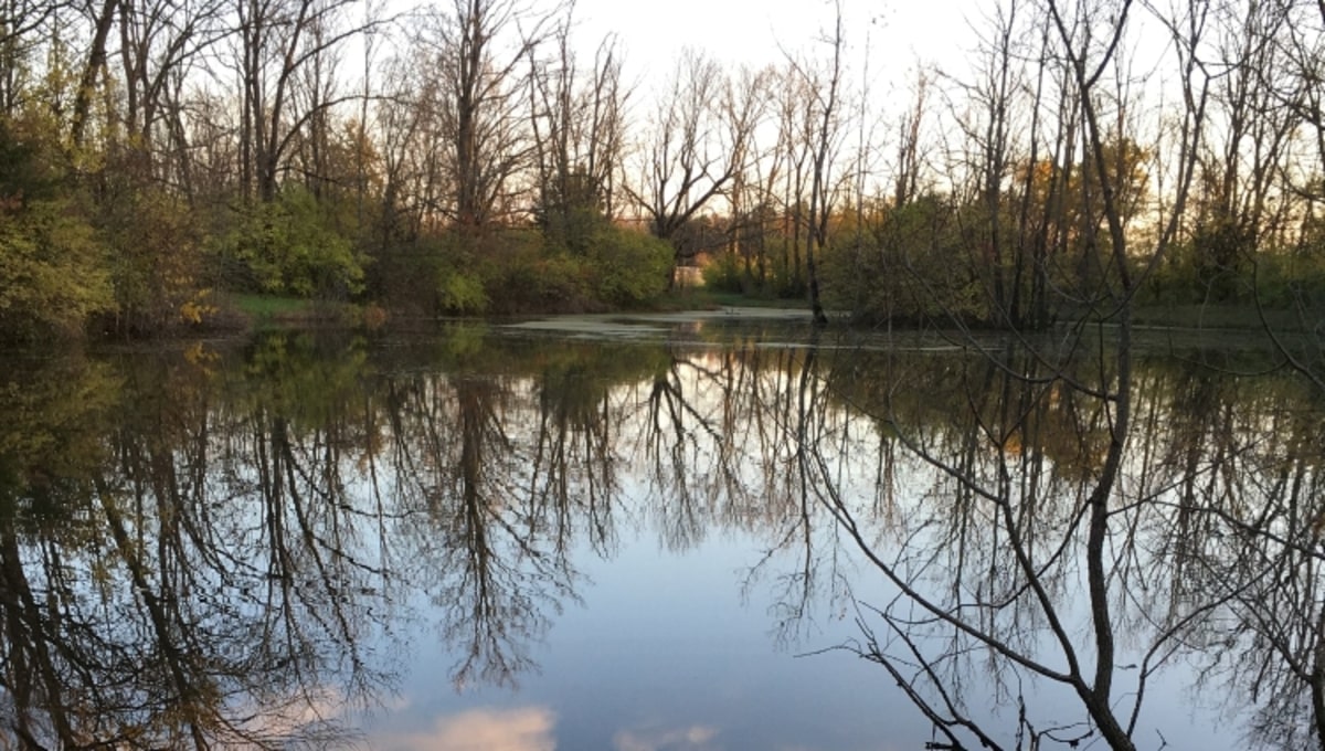Загадочный труп достали из пруда в Подмосковье