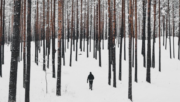 Грибники в Подмосковье ждут большой урожай зимних грибов уже в эти выходные