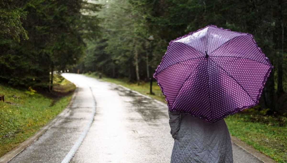Осенние дожди начнутся в Подмосковье в эти дни