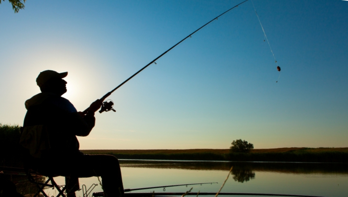 Он проснулся! Сезон редкой рыбы набирает обороты в Подмосковье