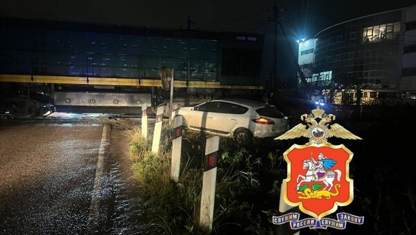 Бабушка с внуком на машине попали под локомотив в Подмосковье