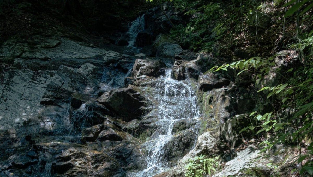 Самые красивые водопады Подмосковья — пять локаций