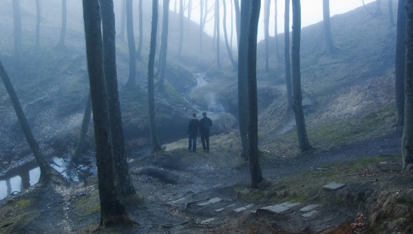 Опасные находки обнаружены в лесу в двух округах Подмосковья