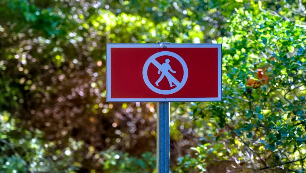 В Серпухове скоро снова засвистят пули