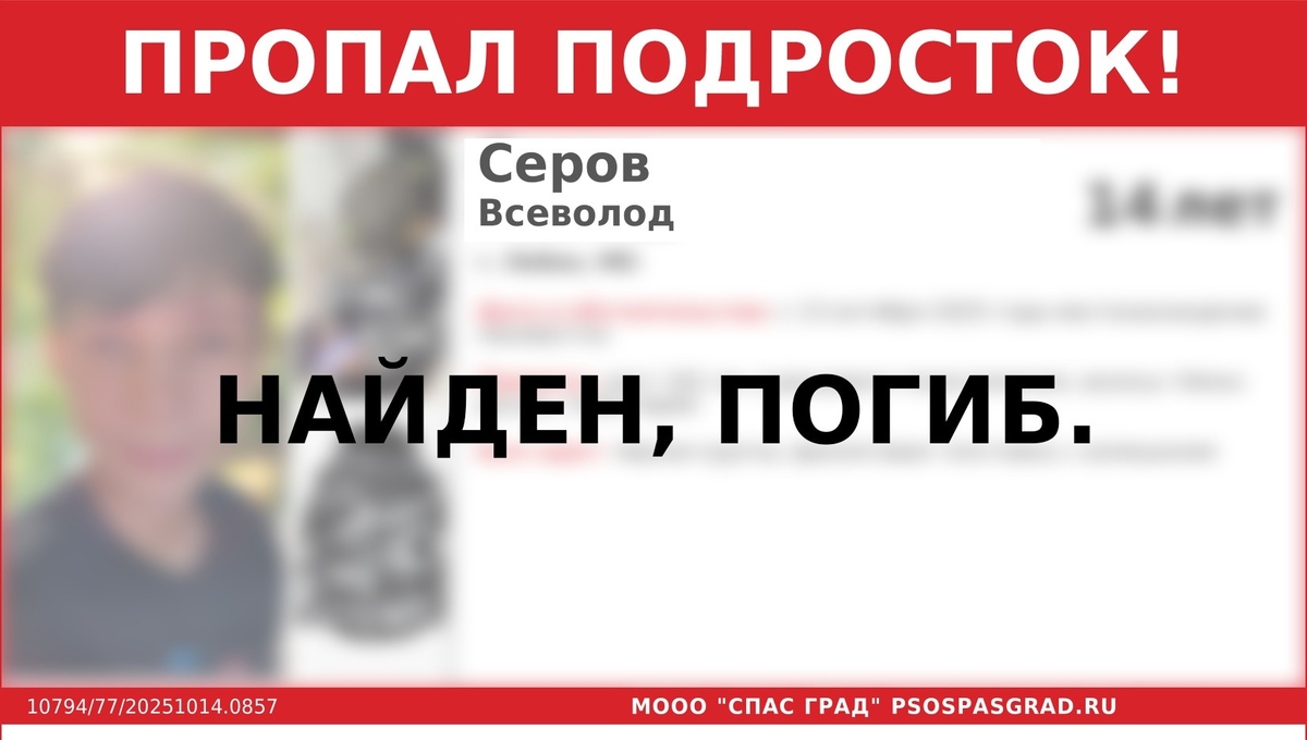 Чуда не произошло. Поисковики нашли тело мальчика из Лобни