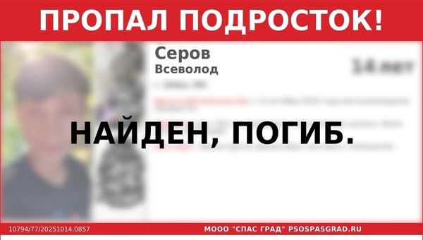 Чуда не произошло. Поисковики нашли тело мальчика из Лобни