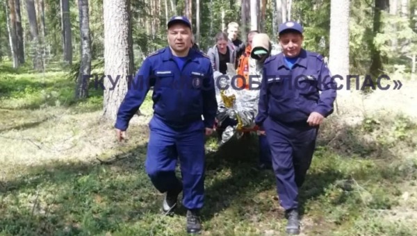 Пенсионер пять дней скитался по лесу в Подмосковье. Его нашли едва живым