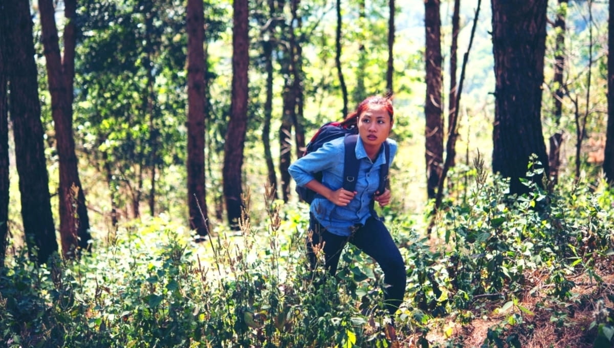 Грибники в Подмосковье повалили в лес за белыми, но оказались атакованы новым врагом