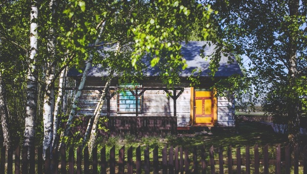 За эти деревья на дачном участке в новом сезоне можно поплатиться