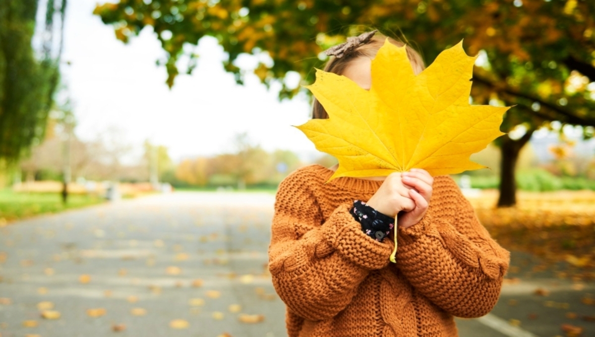 Эта погодная примета 29 сентября — точный указатель на зиму