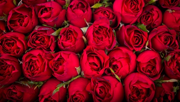 Москвич сделал шокирующий подарок возлюбленной