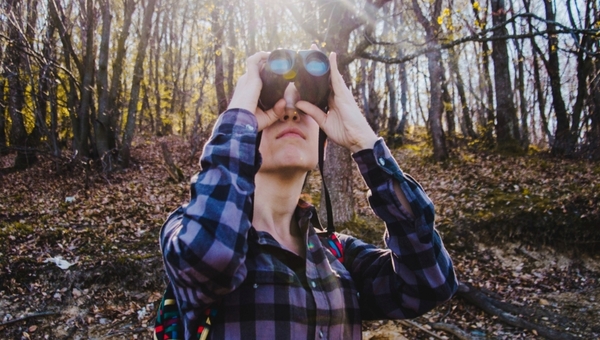 На карьере в подмосковном Протвино заметили потрясающих гостей
