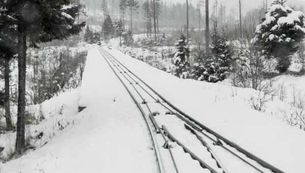 Из-за снегопада в Подмосковье задерживаются поезда на этих направлениях