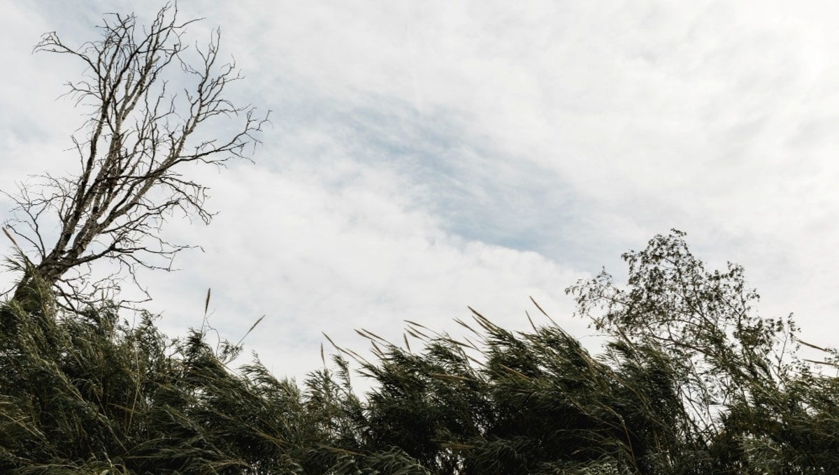 Три дня погодной опасности объявили в Подмосковье