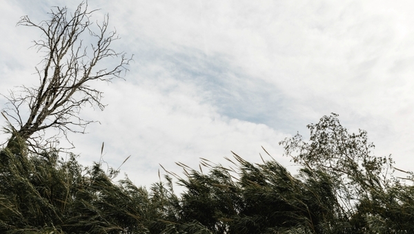 Три дня погодной опасности объявили в Подмосковье