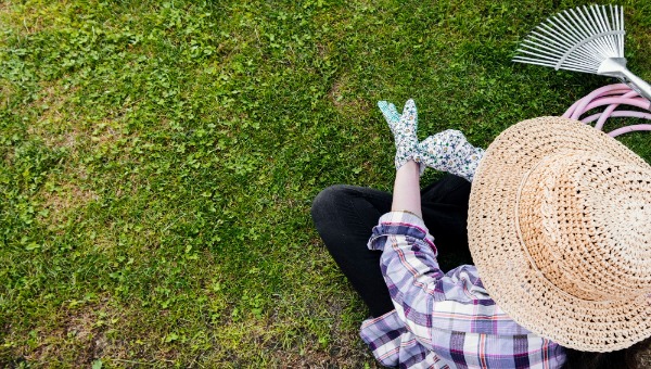 Приближается день, когда нельзя работать с рассадой или в саду