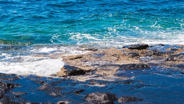 Учёные нашли нечто неожиданное в Азовском море