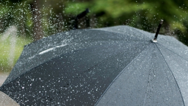 Синоптики: в этот день в Подмосковье ожидаются сильные дожди