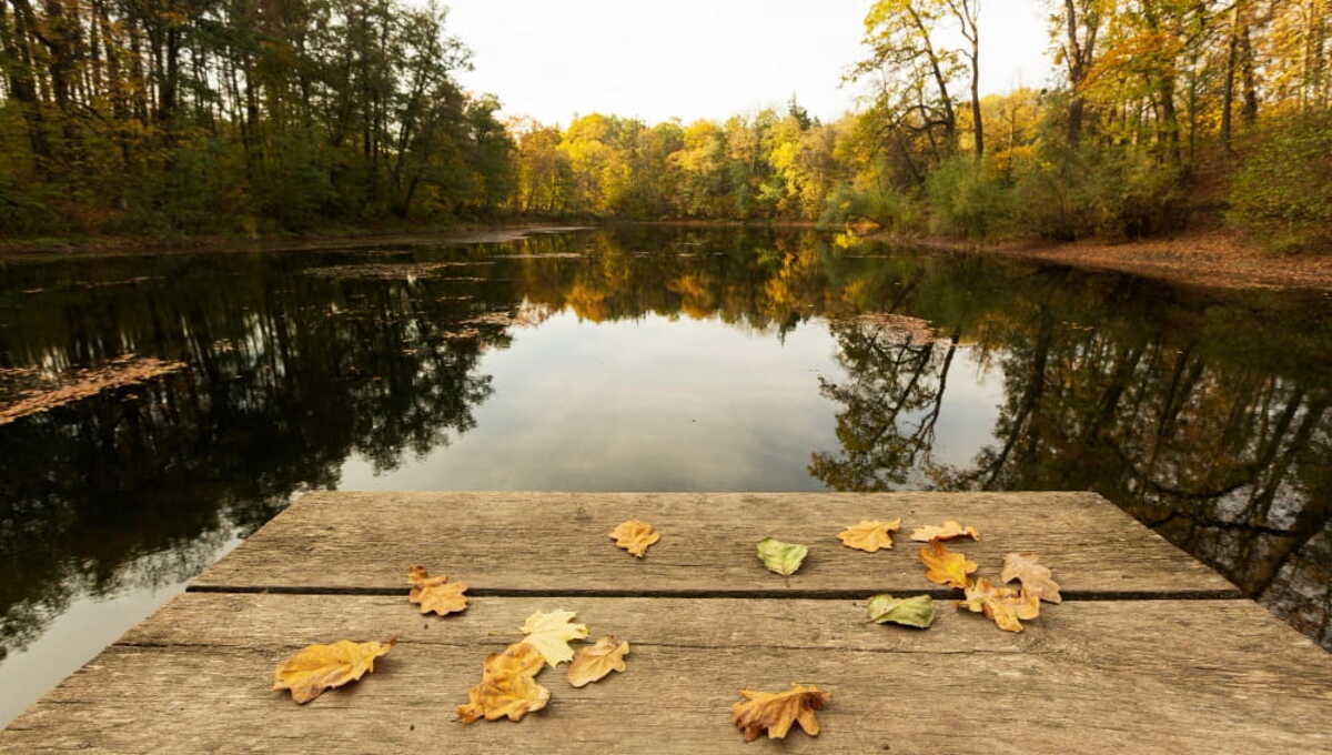 В Серпухове найдено тело человека