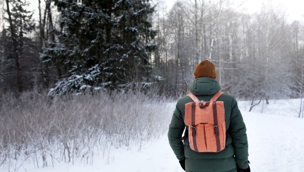 «Первые грибочки просыпаются!» Грибники в Подмосковье ошеломили