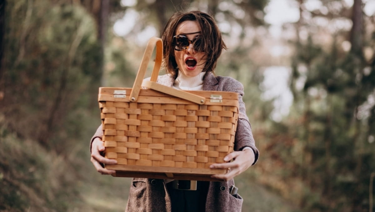 Грибники собирают ценный ресторанный гриб в этих округах Подмосковья