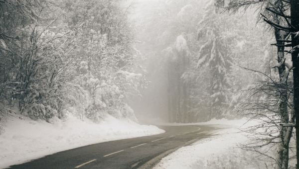 Неприятная примета на лето «выстрелила» в Подмосковье 1 марта