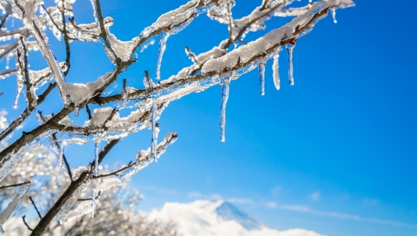 Оттепель 11 декабря — странная, но действенная народная примета