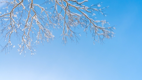 Погодный сюрприз на этой неделе! Синоптики пообещали жителям Подмосковья красоту