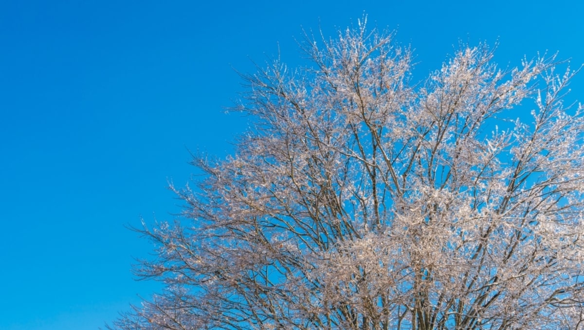Трескучий мороз подкрадывается к Подмосковью