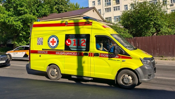 Собака сорвалась с поводка и набросилась на ребёнка в Подмосковье