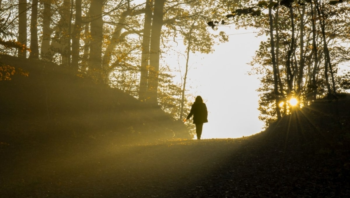 В Серпухове ищут пропавшую женщину