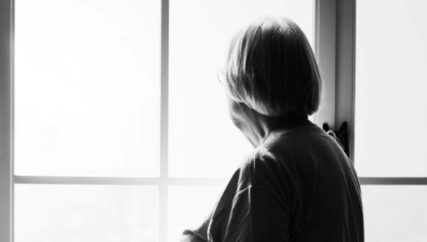 Пожилая женщина с йорком исчезла на юге Подмосковья