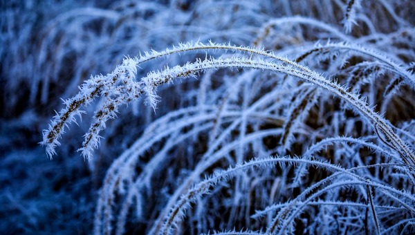 В Подмосковье снова грянули морозы до −30 градусов