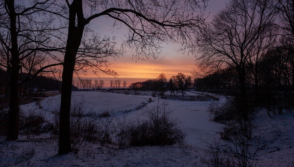 Где в Подмосковье было теплее всего ночью 4 февраля