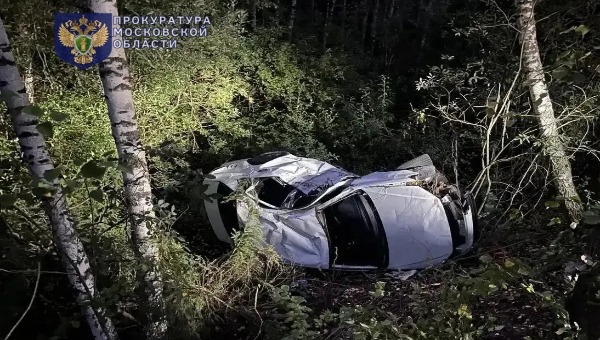 Неопытный водитель погиб в страшном ДТП с деревом в Подмосковье