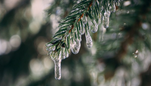 И сверху, и снизу: жителей Подмосковья ждёт несколько дней с мерзкой погодой