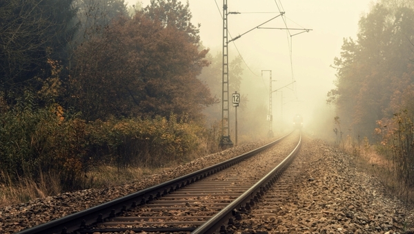 СК подтвердил страшную гибель подростка, которого две недели искали в Подмосковье