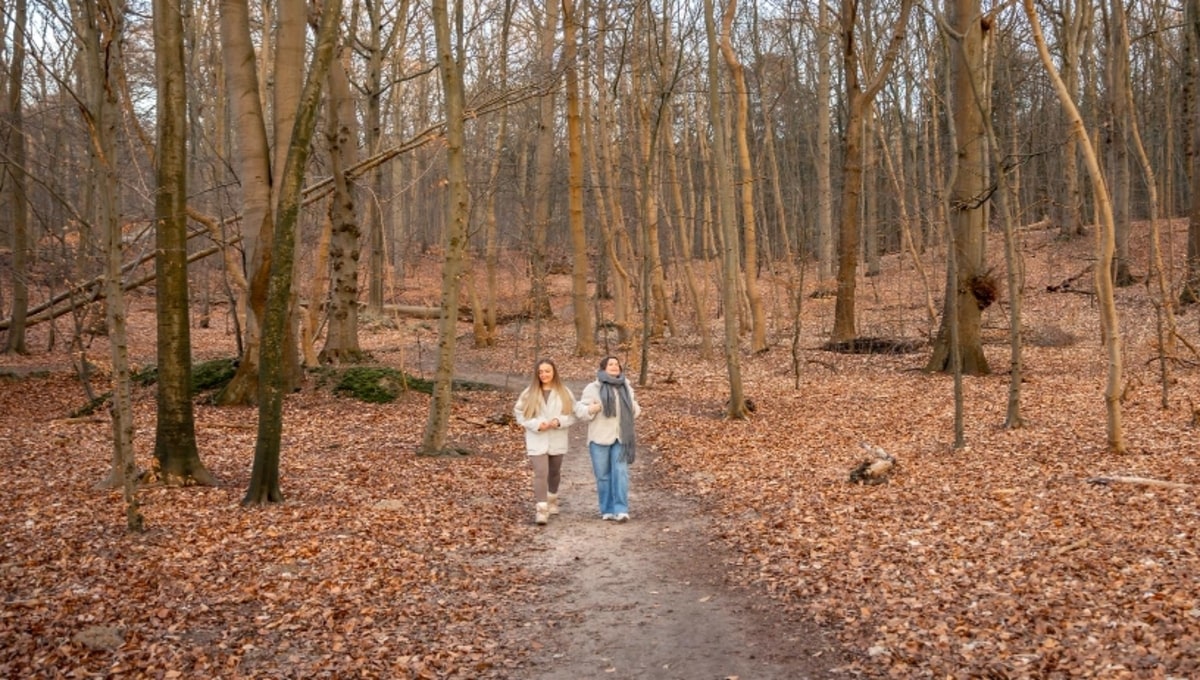 В Подмосковье опасные гады не могут уснуть из-за тепла