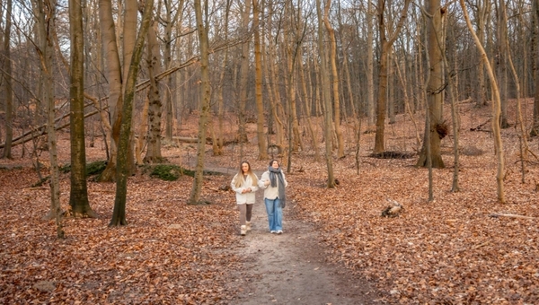 В Подмосковье опасные гады не могут уснуть из-за тепла