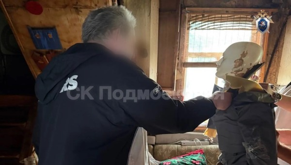 Убийцу родной матери осудили в Подмосковье