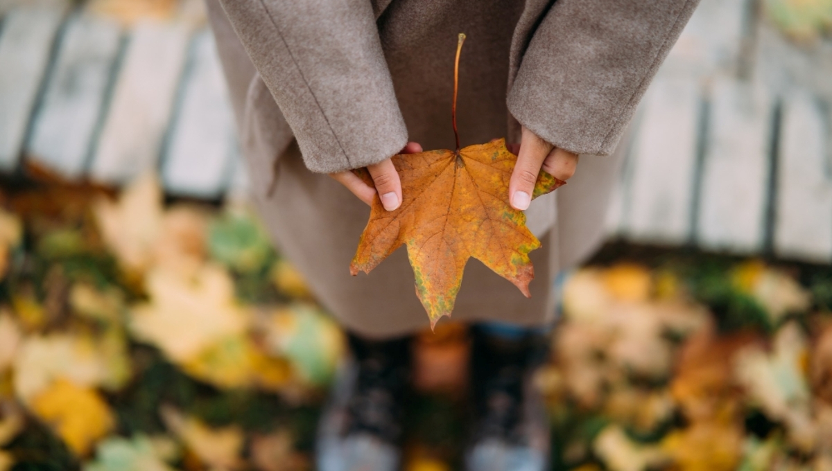Синоптики: в Москву и Подмосковье вернётся двузначное тепло