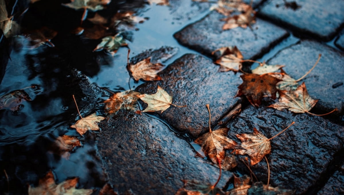 Синоптик Позднякова: дожди придут в Подмосковье в этот день